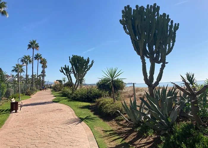 Apto. En Primera Línea De Playa
